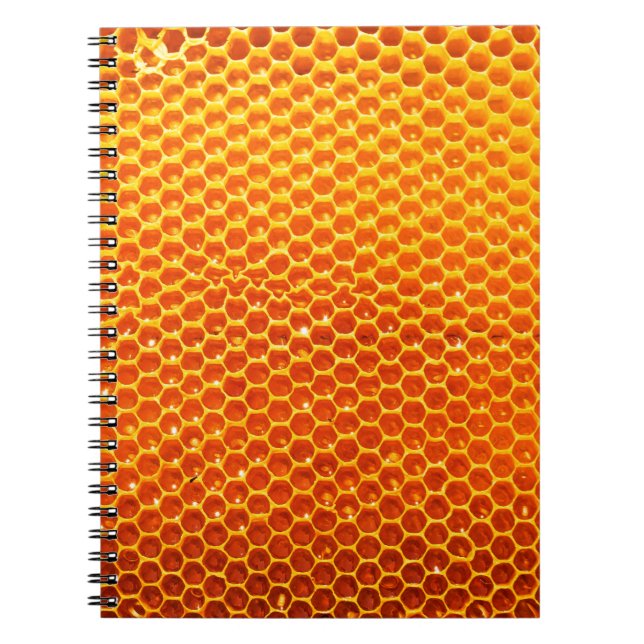 Pattern of a section of wax honeycomb from a bee h notebook (Front)