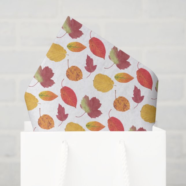 Pattern Of Colourful Autumn Leaves / Fall Foliage Tissue Paper (Gift Bag)