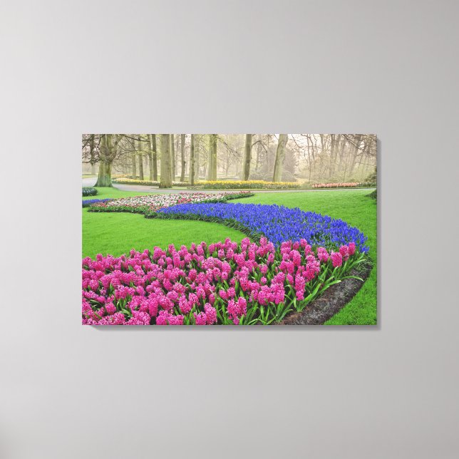 Pattern of Grape Hyacinth, tulips, and 2 Canvas Print (Front)