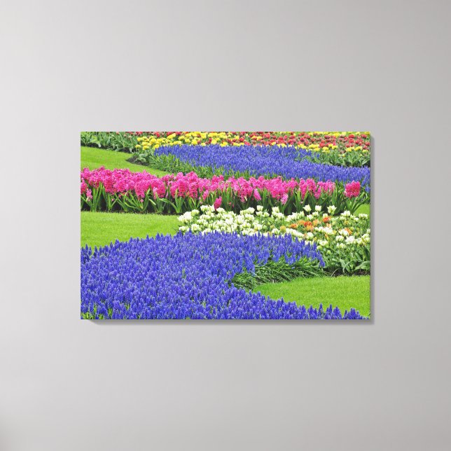 Pattern of Grape Hyacinth, tulips, and 3 Canvas Print (Front)