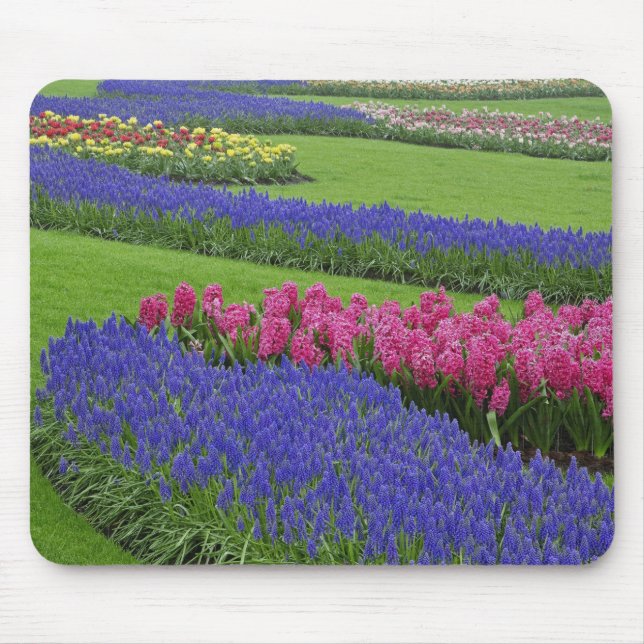 Pattern of Grape Hyacinth, tulips, and Mouse Pad (Front)