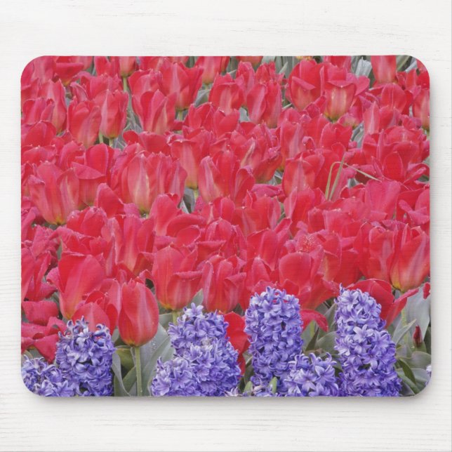 Pattern of hyacinth, tulips, and daffodils, mouse pad (Front)