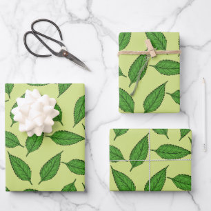 Pattern Of Leaves, Leaf Pattern, Spring Leaves Wrapping Paper Sheet