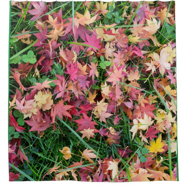 Pattern of the falling leaves shower curtain (Front)