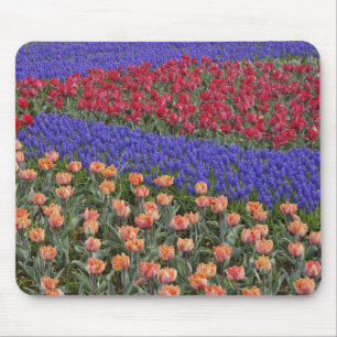 Pattern of tulips and Grape Hyacinth flowers, 3 Mouse Pad