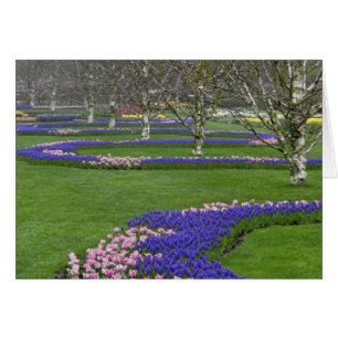 Pattern of tulips and Grape Hyacinth flowers, 4