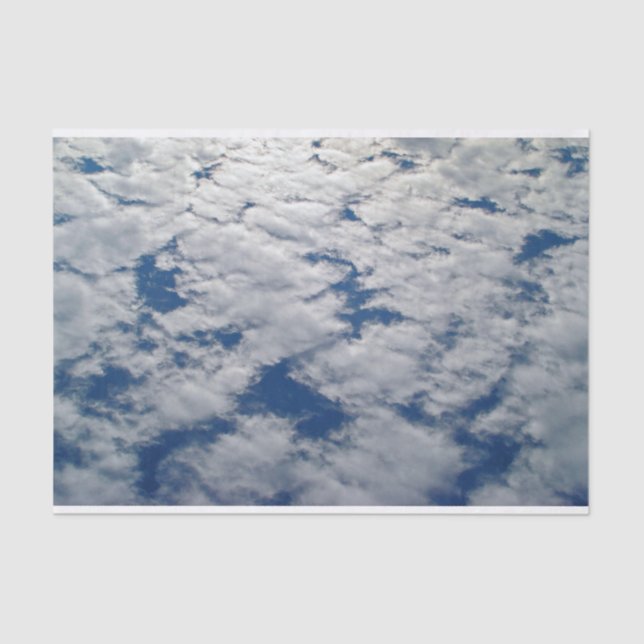 Patterns in the Sky by Shirley Taylor Tissue Paper (Front)