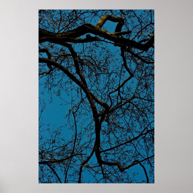 Patterns in the sky poster (Front)