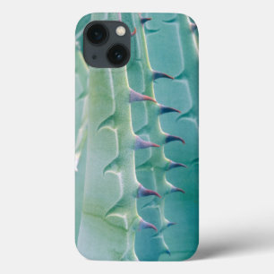 Patterns of an Agave plant iPhone 13 Case