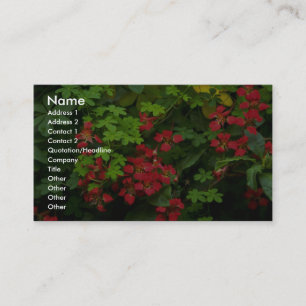 Patterns of nature business card