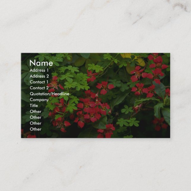 Patterns of nature business card (Front)