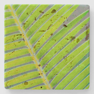 Patterns of Palms Stone Coaster