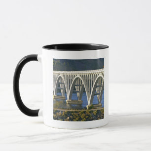 Patterson Memorial Bridge highway 101 over Mug