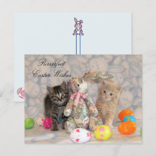 Patton & Buffington Easter Cat  Holiday Postcard
