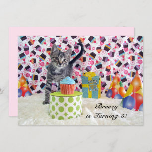 Patton (cat/ kitten) Birthday Invitation