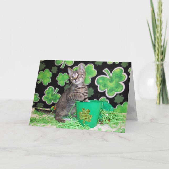 Patton the St. Patrick's Day Cat Greeting Card (Front)