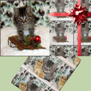 Patton's Christmas Playtime - Cat Christmas  Wrapping Paper