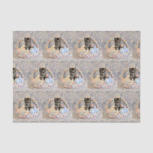 Patton's Easter Basket- Cat / Kitten Tissue Paper