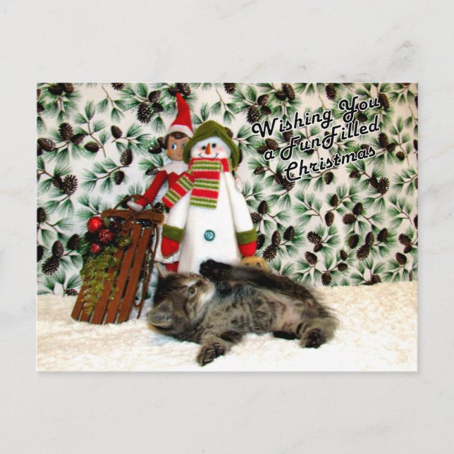 Patton's Fun Filled Christmas - Cat / Kitten  Holiday Postcard (Front)
