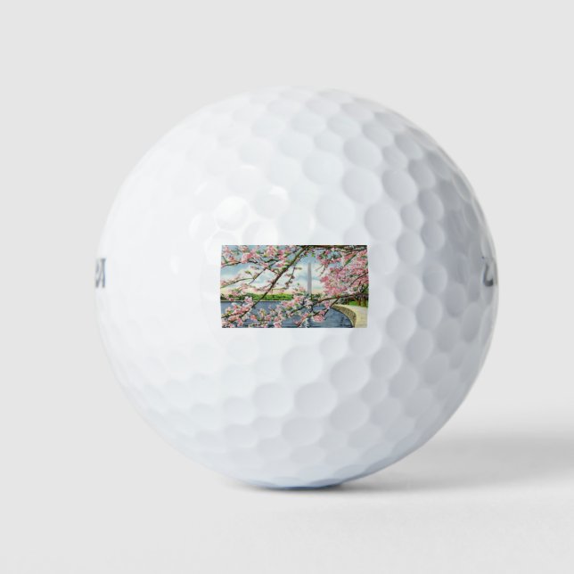 PAU45 Washington Monument 2.tif Golf Balls (Front)