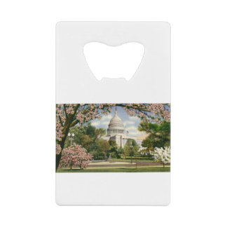 PAU46 US Capitol.tif