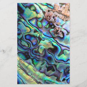 Paua abalone shell detail