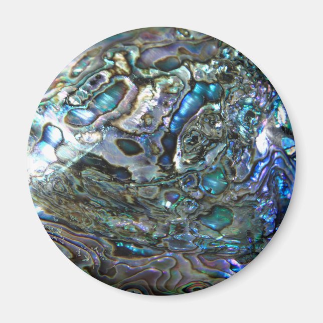 PAUA DESIGN MAGNET (Front)