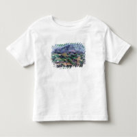 Paul Cezanne | Montagne Sainte-Victoire, 1904-06