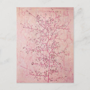 Paul Klee - Pink Spring in Deep Winter Postcard