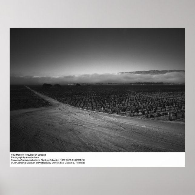 Paul Masson Vineyard at Soledad by Ansel Adams Poster (Front)