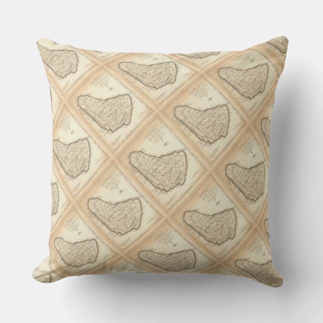 Paul McGehee "Barbados Map" Pillow (Front)