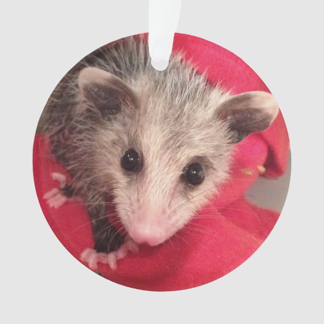 Paulee the Little O'Possum from Southern Indiana Ornament (Front)