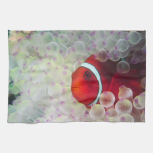 Paupau New Guinea, Great Barrier Reef, Tea Towel