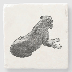 Pause Beside A Gaze Stone Coaster