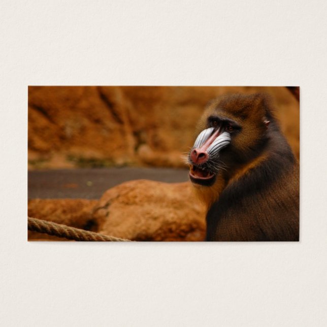 Pavian/Baboon (Front)