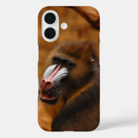 Pavian / Baboon...