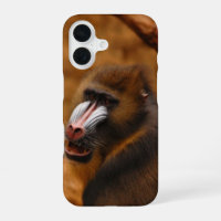 Pavian / Baboon...