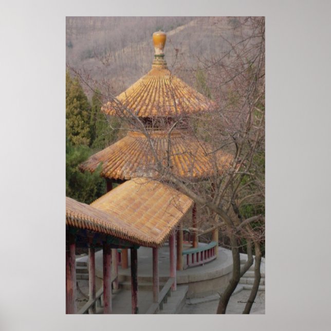 Pavilion Poster (Front)