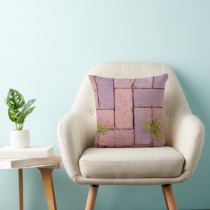 Paving Stones and Weeds In The Walkway Photograph Cushion