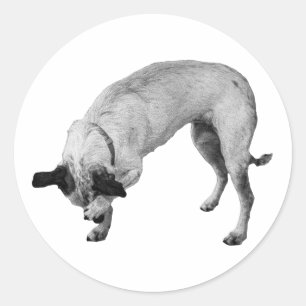 Paw-Over Secret Pup Classic Round Sticker