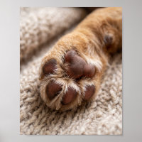 Paw Photo Custom 8 by 10 Pet Portrait Poster