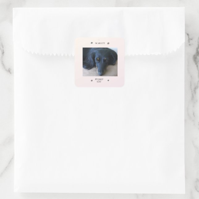 Paw Print Frame with Pet Name and Nickname Square Sticker (Bag)