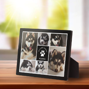 Paw Print Pet In Loving Memory Black Photo Collage Plaque