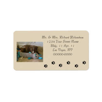 Paw Prints Add Photo Tan Address Large Labels