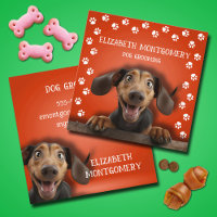 Paw Prints Dog Groomer