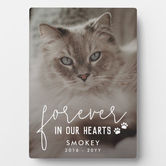 Paw Prints Forever In Our Hearts Cat Photo Plaque (Front)