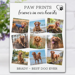 Paw Prints Forever In Our Hearts Dog Pet Memorial  Plaque