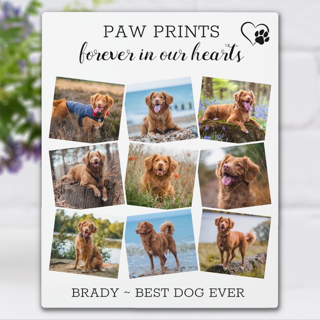 Paw Prints Forever In Our Hearts Dog Pet Memorial  Plaque (Creator Uploaded)
