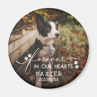 Paw Prints Forever In Our Hearts Pet Photo Magnet