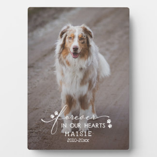 Paw Prints Forever In Our Hearts Pet Photo Plaque